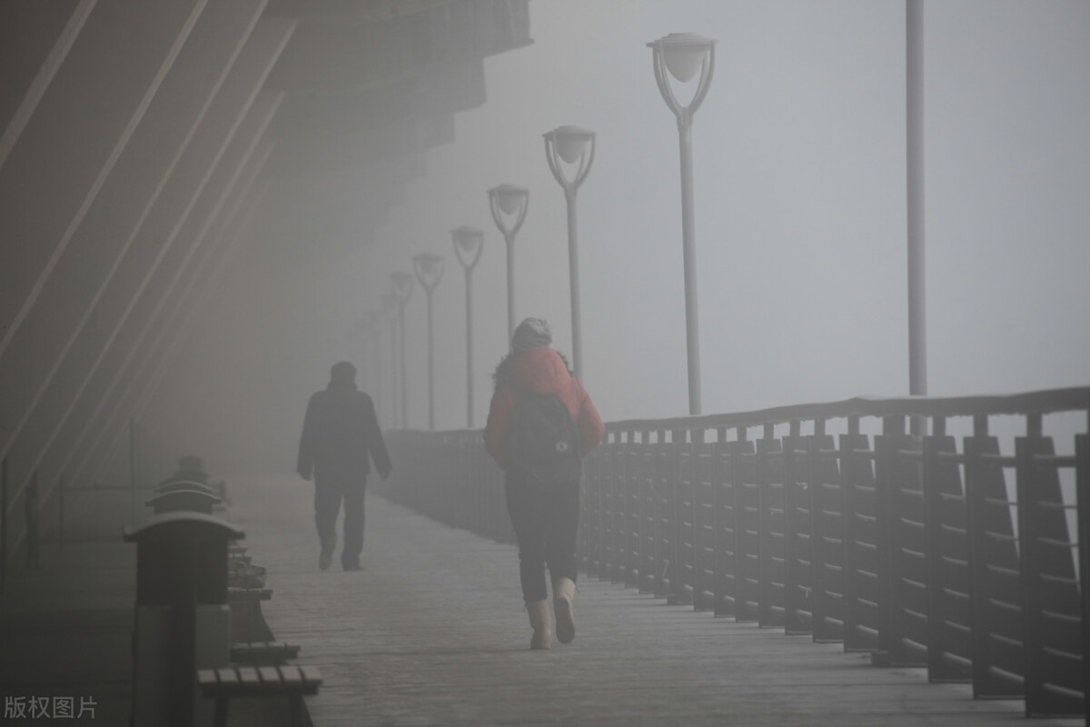年鉴:中国2020年回顾,经济增长与环境保护携手并进